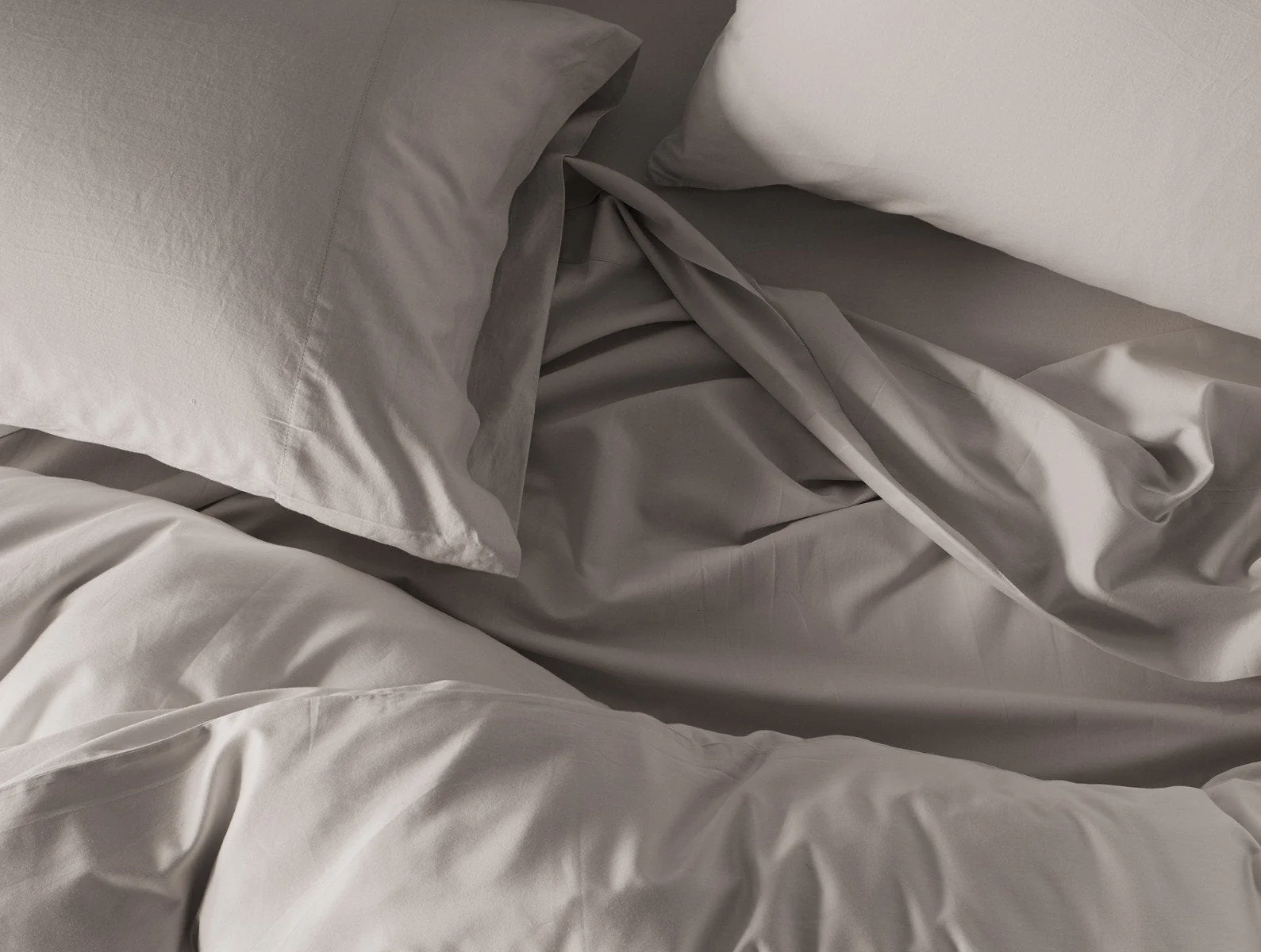 300 Thread Count Organic Sateen Sham - Renewed