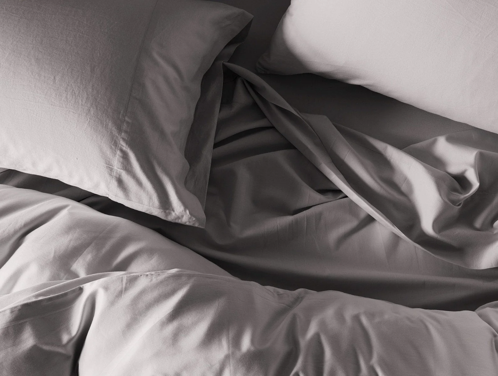 300 Thread Count Organic Sateen Sham - Renewed - Image 5