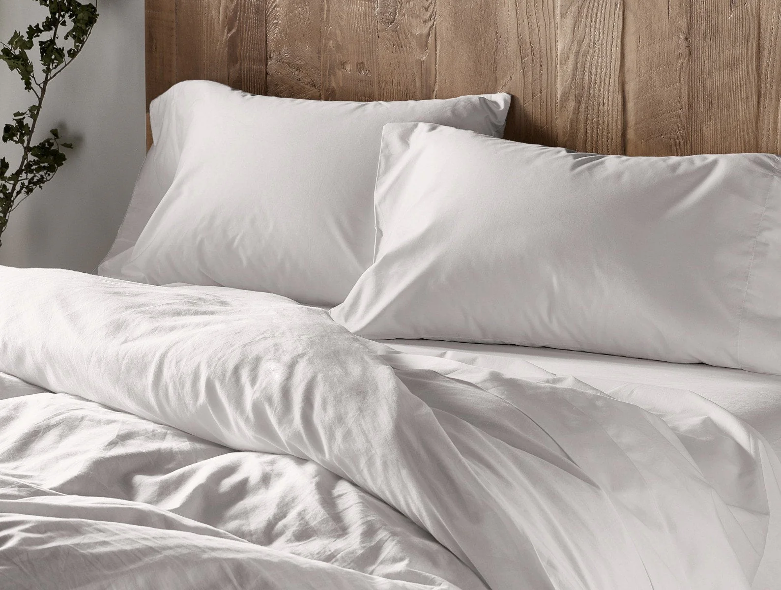 300 Thread Count Organic Sateen Sham - Renewed - Image 6