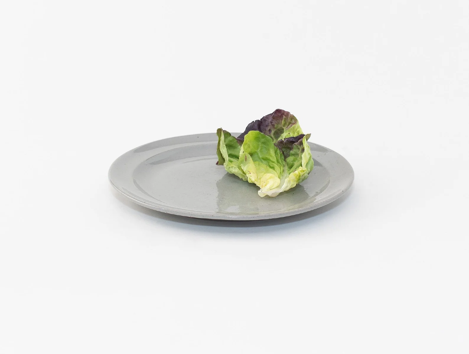 Sarah Kersten Studio Dinner Plate - Image 6