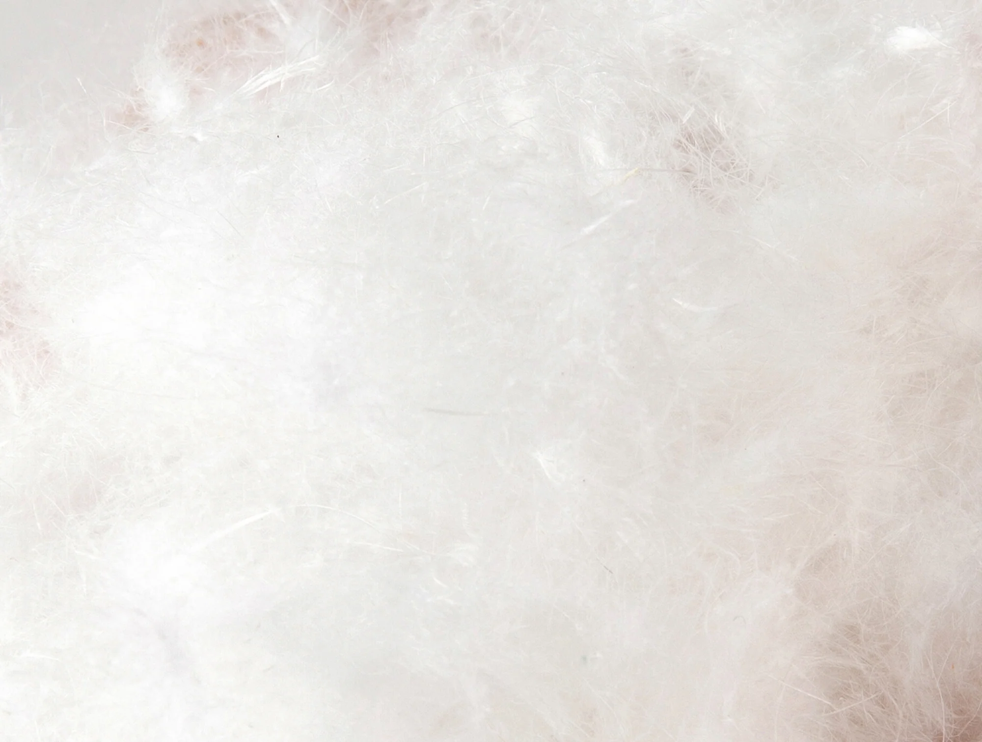 Down Pillow - Image 5