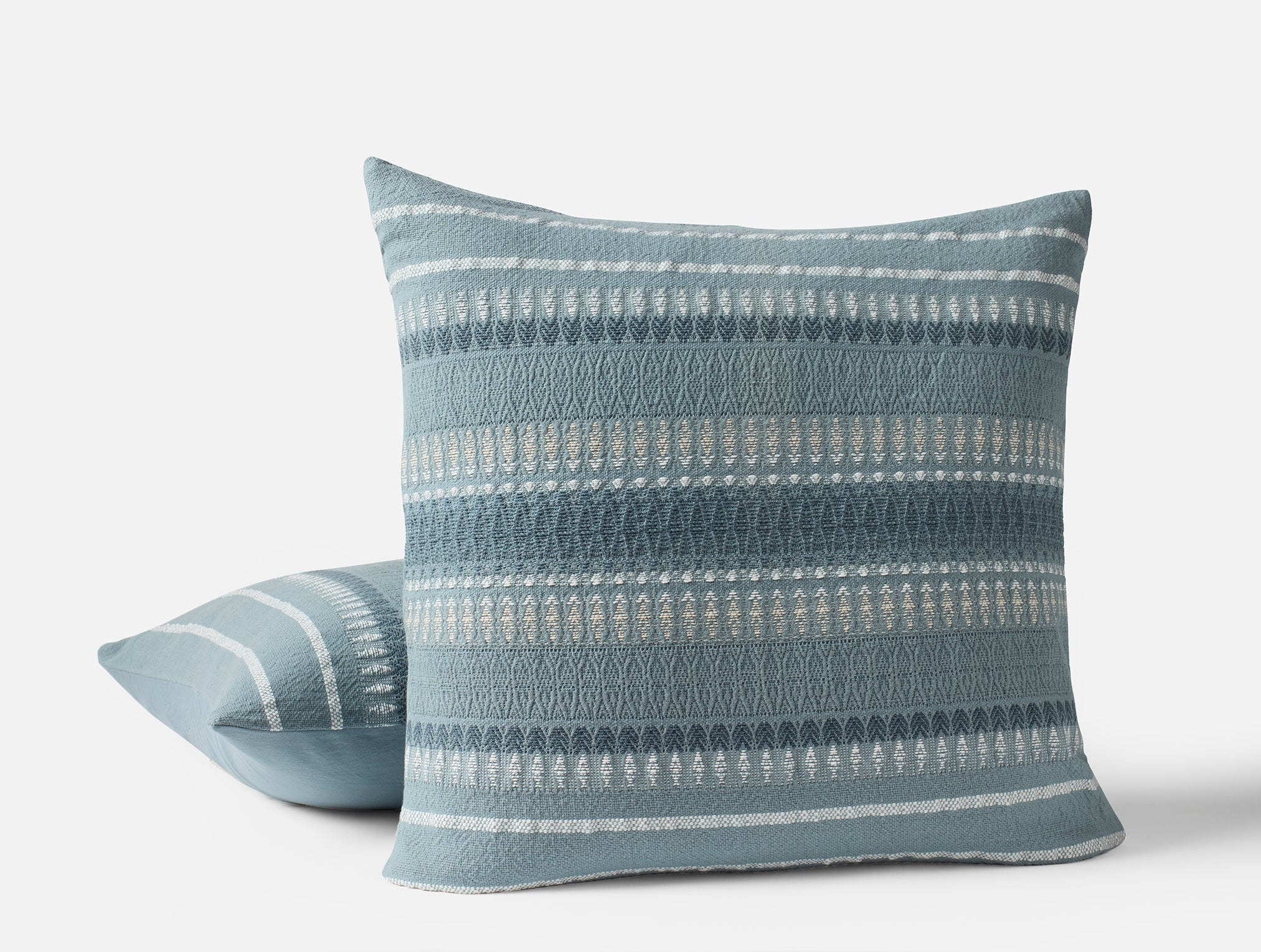 Lost Coast Decorative Organic Pillow Cover