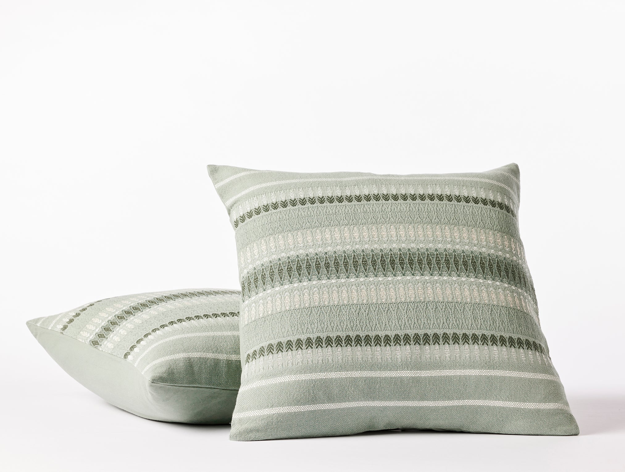 Lost Coast Decorative Organic Pillow Cover - Renewed