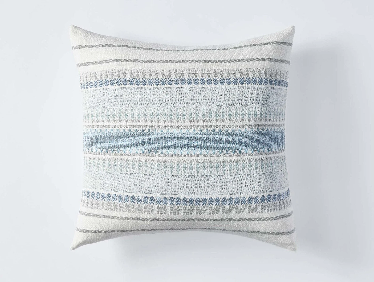 Lost Coast Decorative Organic Pillow Cover - Renewed - Image 4