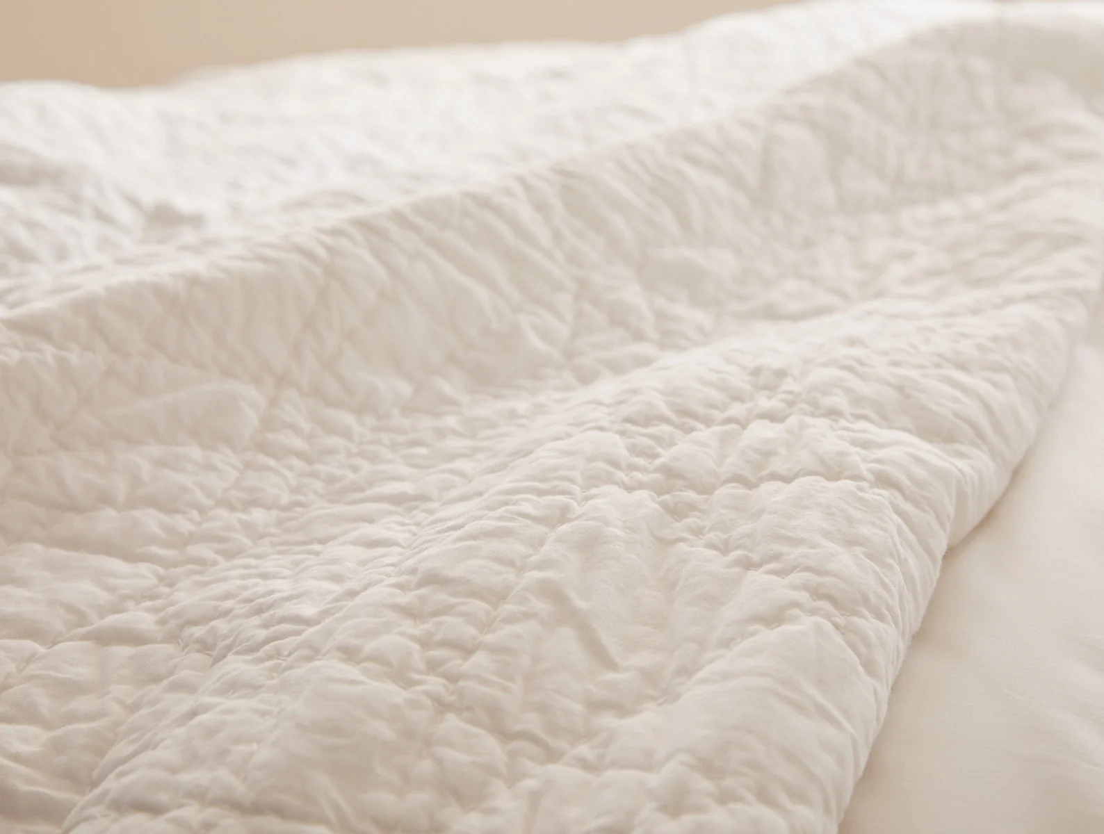 Manzanita Organic Handstitched Sham - Renewed - Image 3