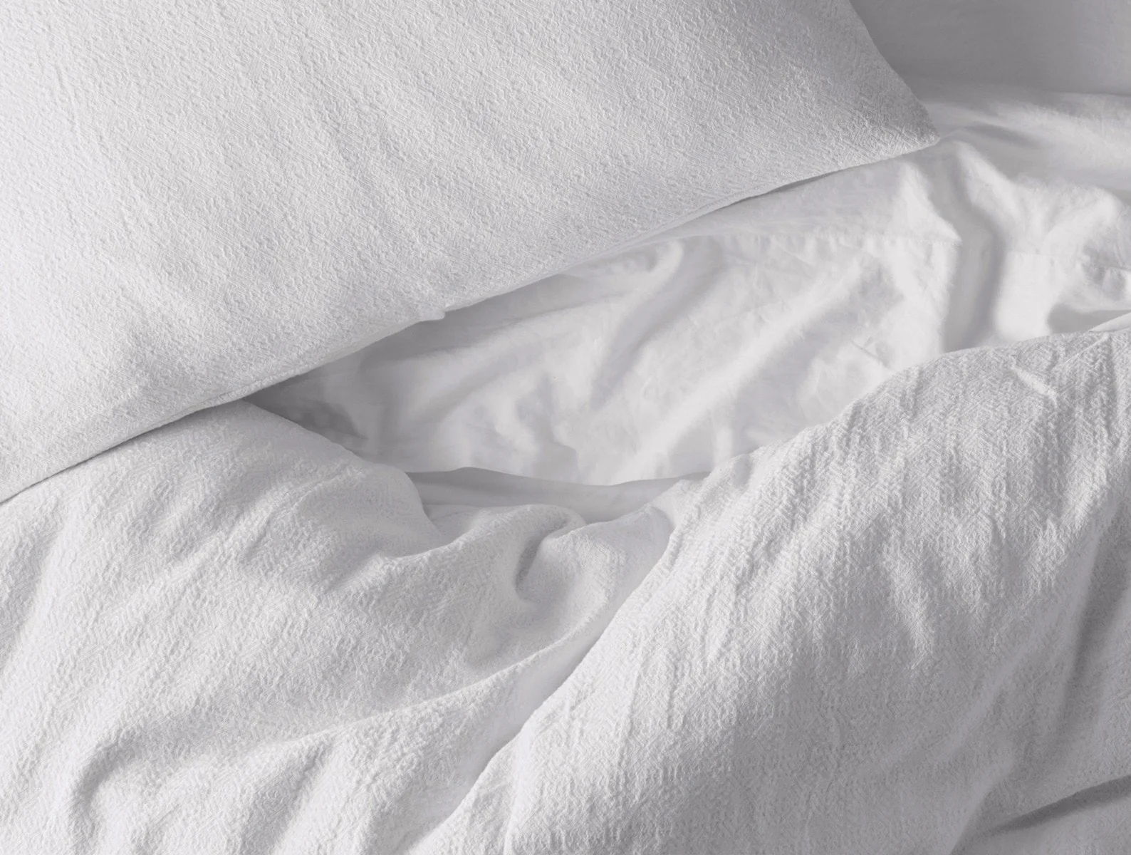 Monterey Organic Sham - Renewed - Image 5