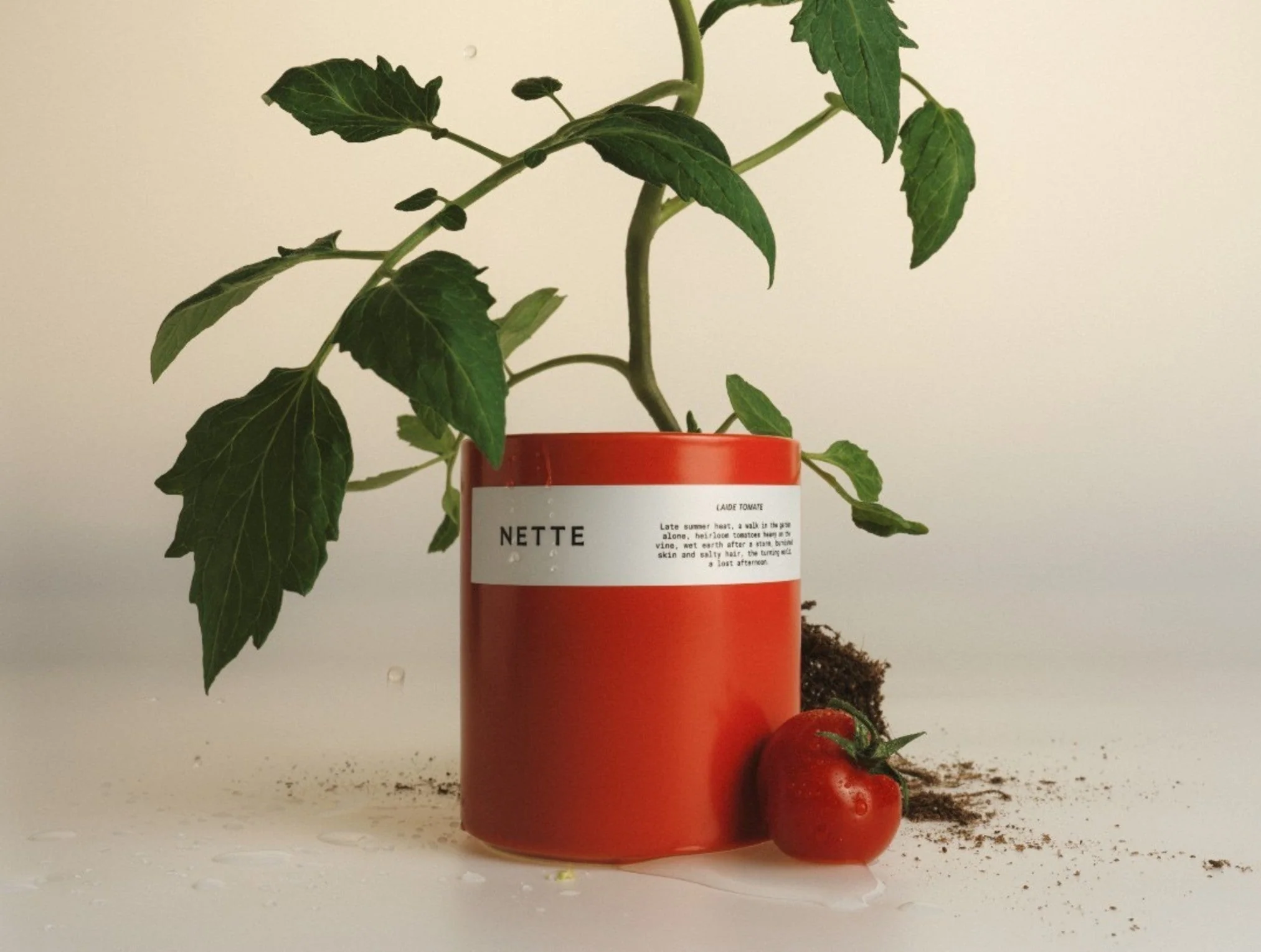 Nette Laide Tomate Glass Candle 10 oz. - Image 2