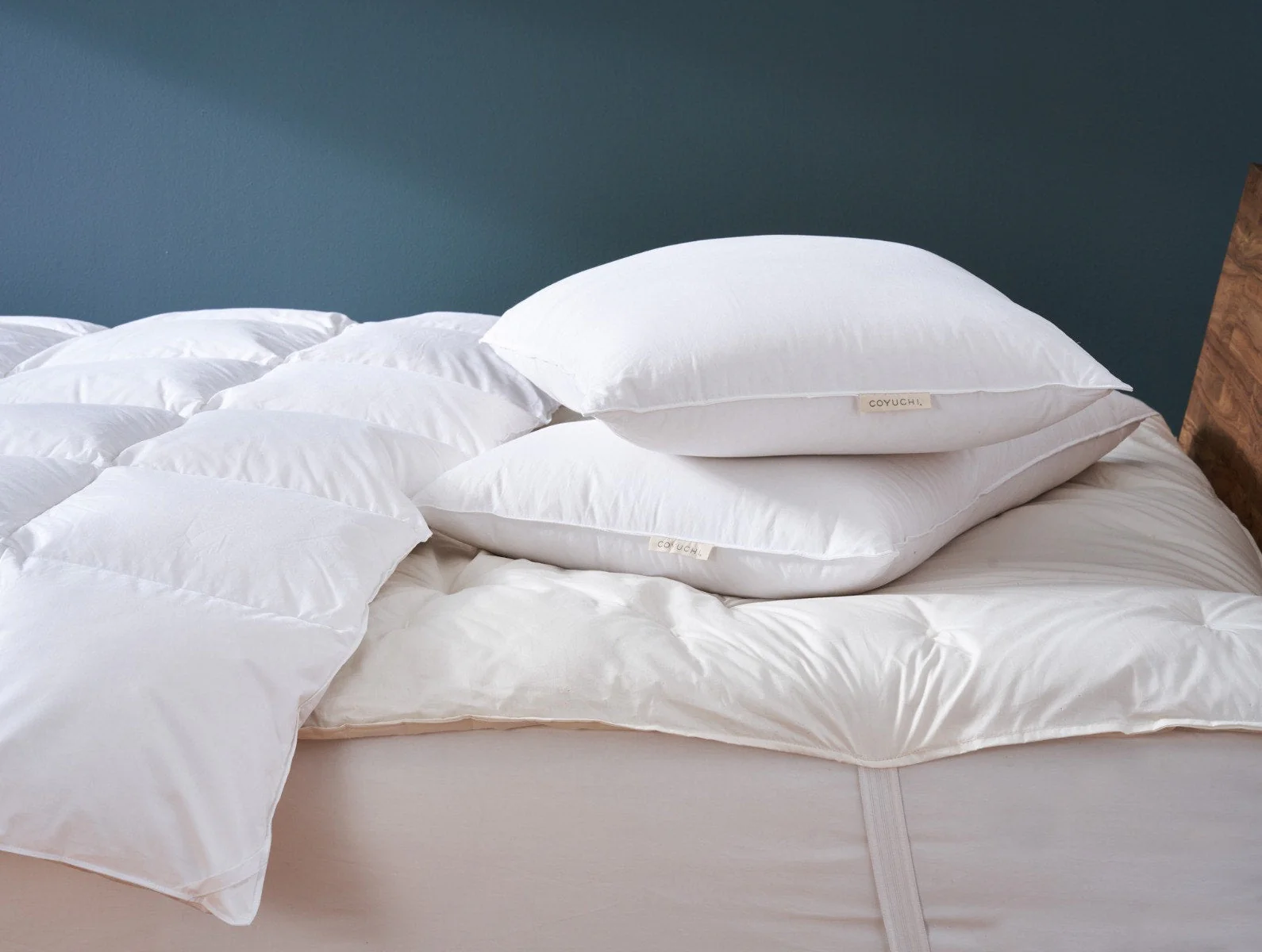 Organic Shredded Latex Pillow - Image 3