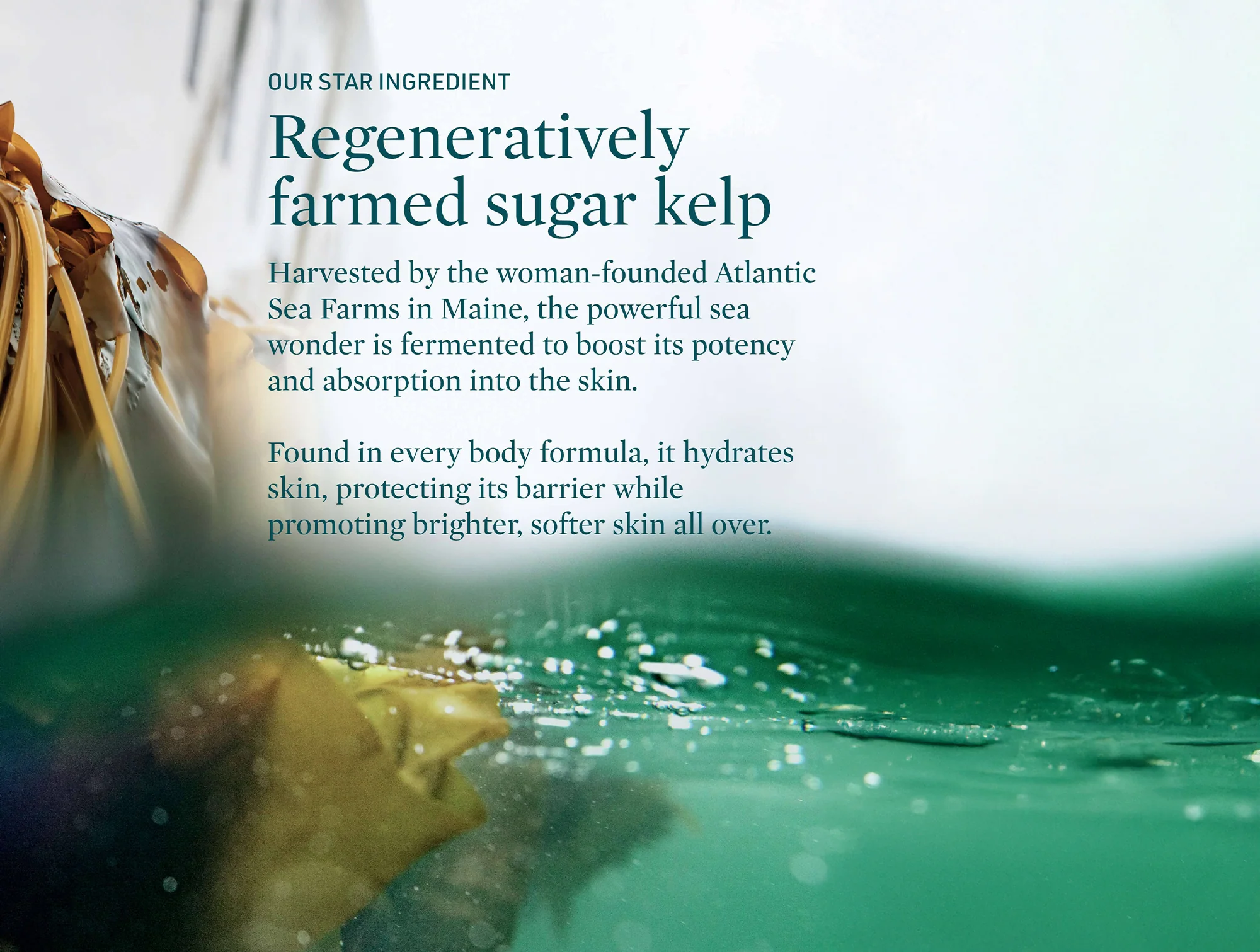 Credo Submerge Green Algae Body Cream - Image 4