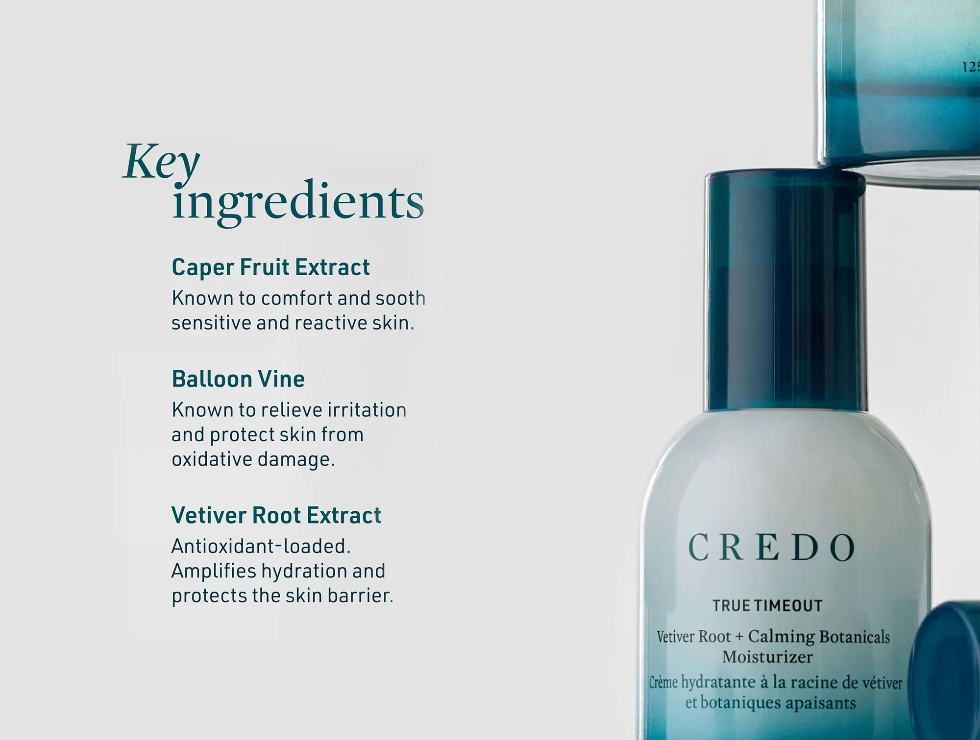 Credo True Timeout Vetiver Root + Calming Botanicals Moisturizer for Sensitive Skin - Image 6