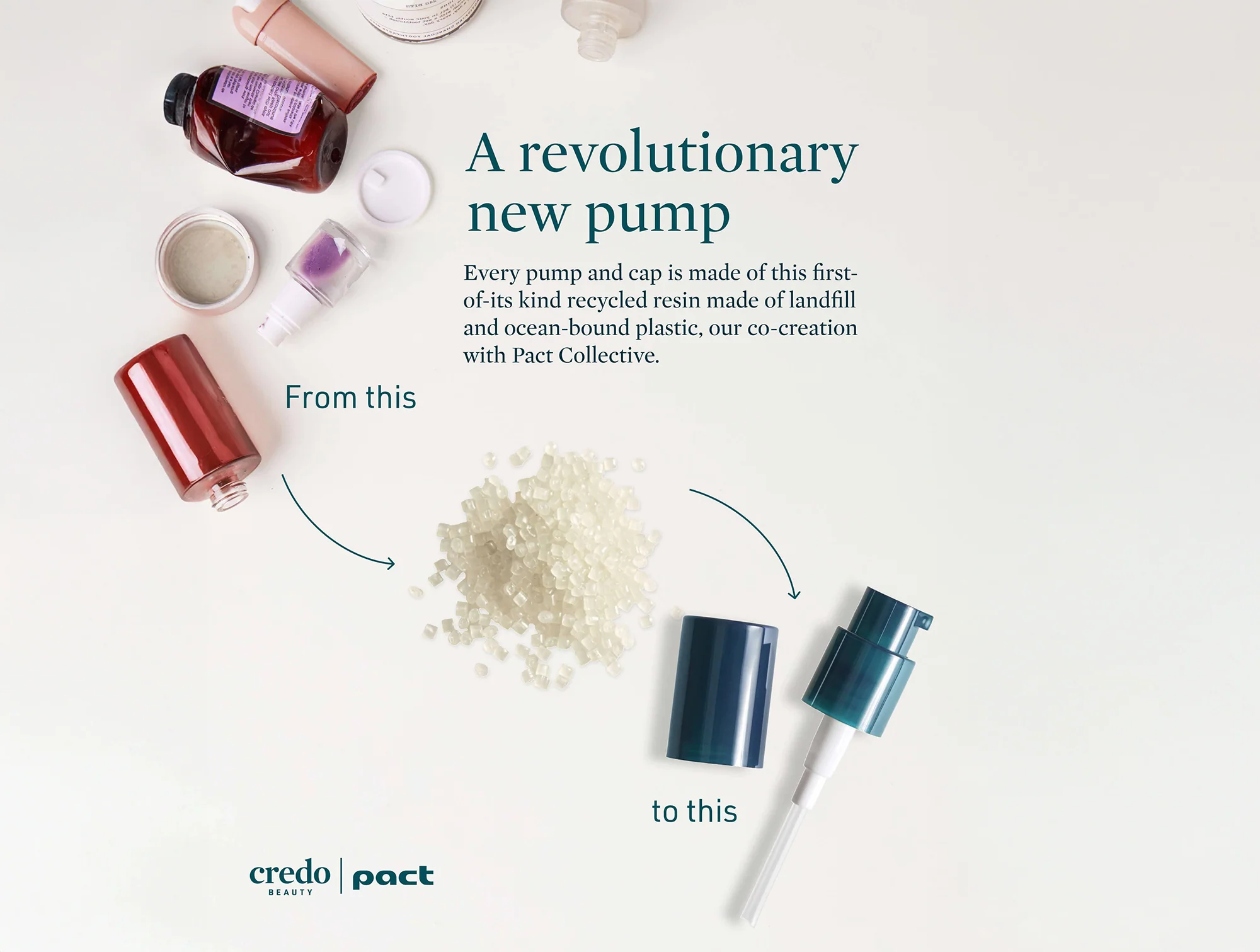 Credo True Timeout Vetiver Root + Calming Botanicals Moisturizer for Sensitive Skin - Image 9